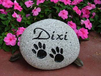 Dixi - Small